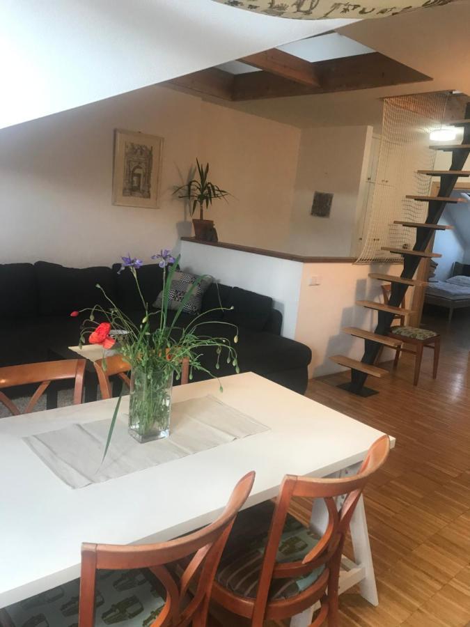 Apartman Slovinska 28 Brünn Exterior foto