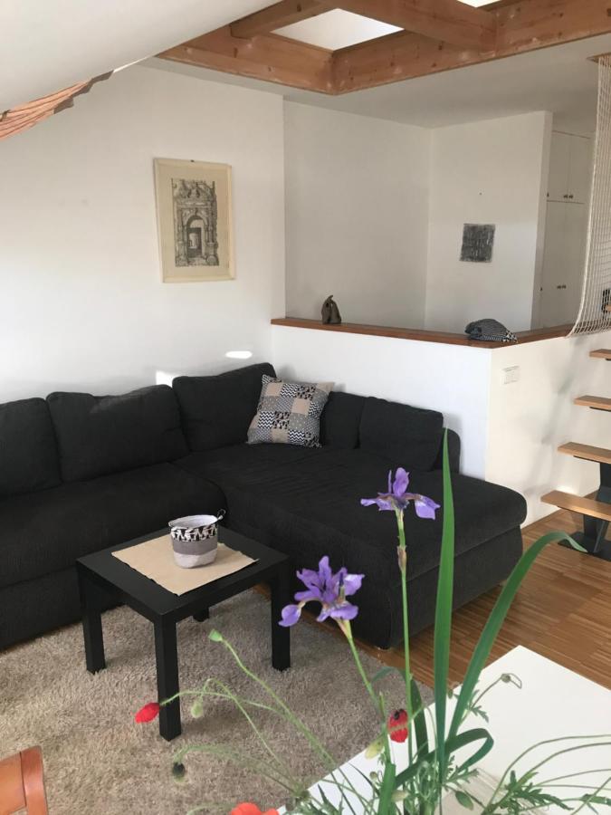 Apartman Slovinska 28 Brünn Exterior foto
