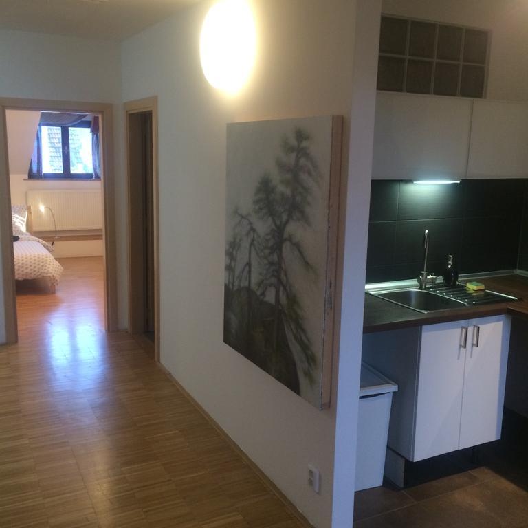 Apartman Slovinska 28 Brünn Exterior foto