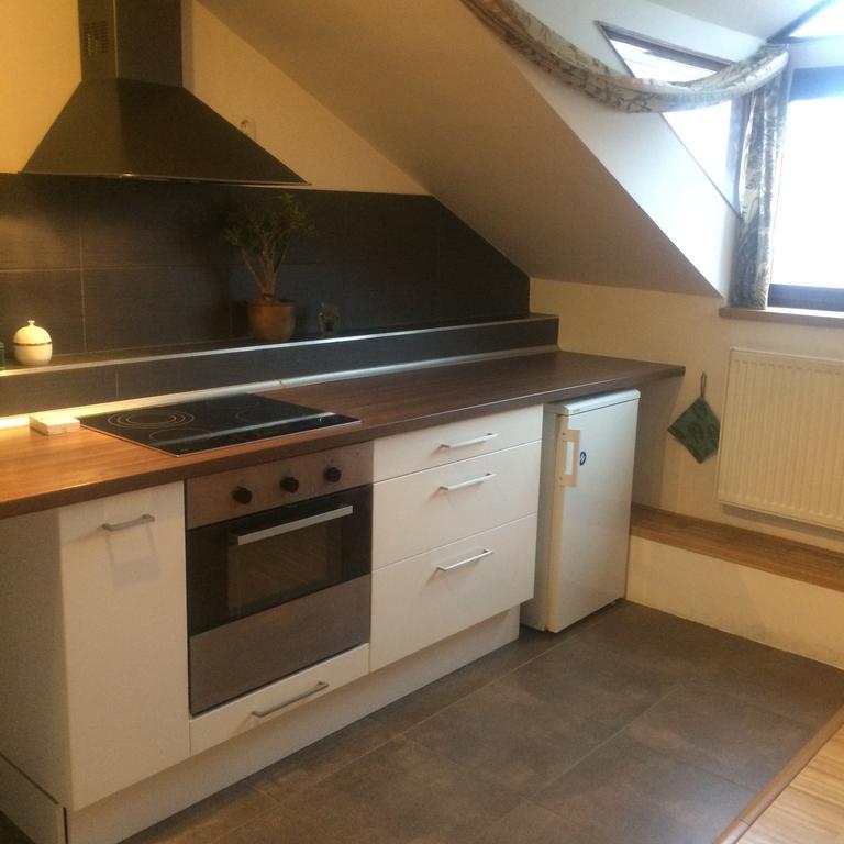 Apartman Slovinska 28 Brünn Exterior foto